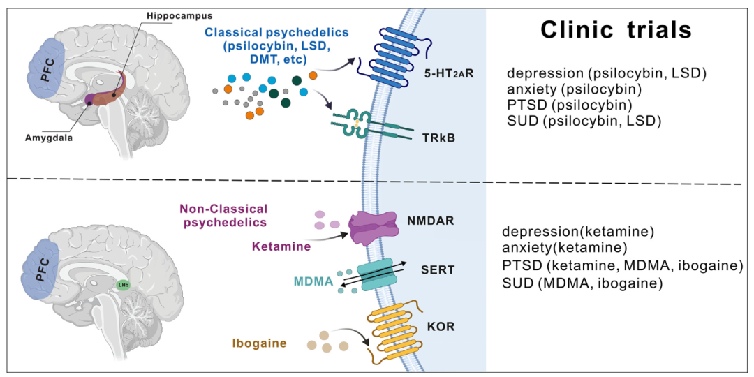 1740532827940178.png 1740532827940178.png